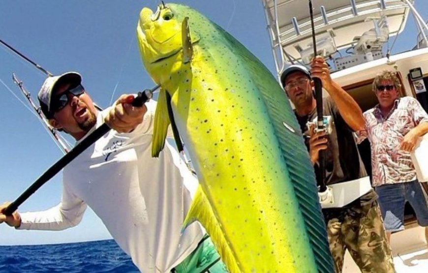 31ft Full-Day Private Fishing Experience in Cabo San Lucas