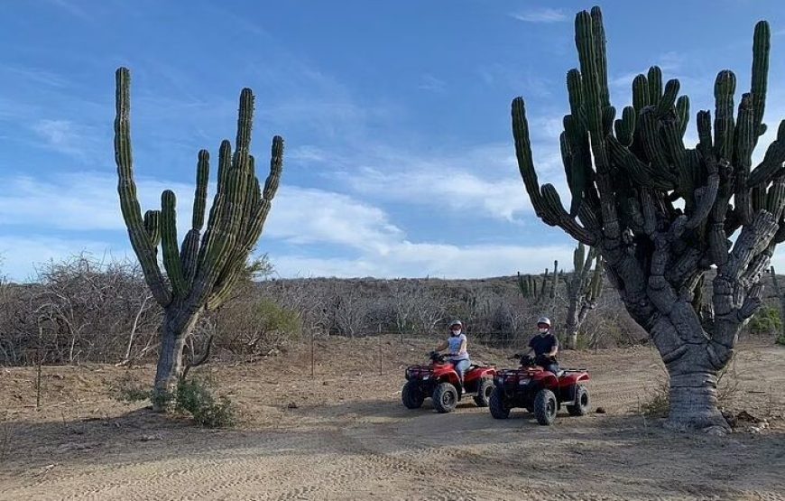 2-Hour ATV Riding Experience in San Jose del Cabo