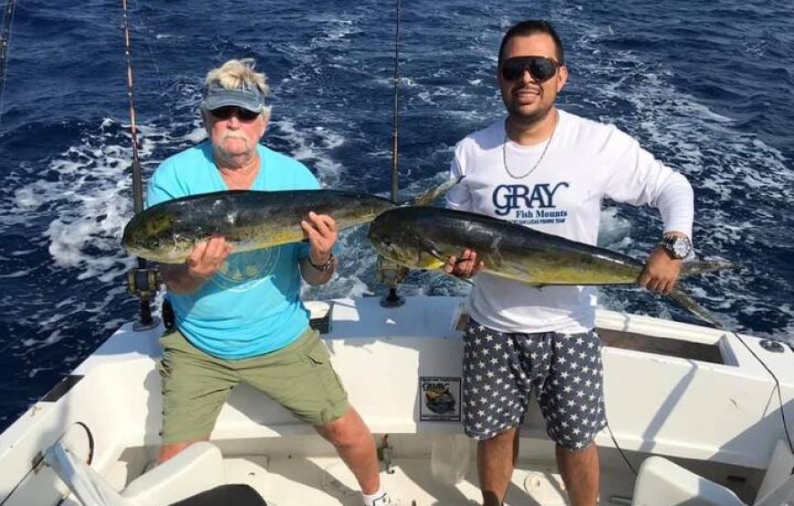 31ft Full-Day Private Fishing Experience in Cabo San Lucas