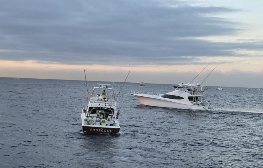 31ft Full-Day Private Fishing Experience in Cabo San Lucas