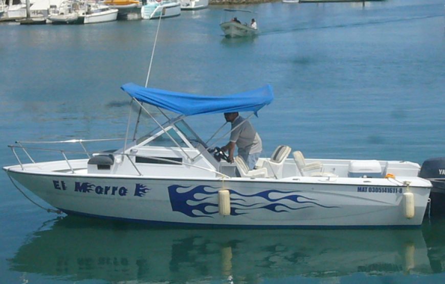 31ft Full-Day Private Fishing Experience in Cabo San Lucas