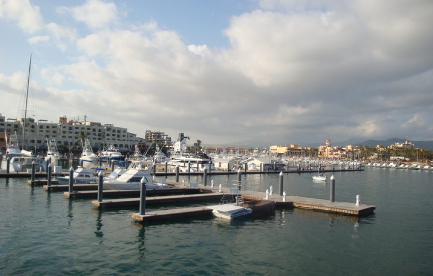 Private Pleasure 31ft Boat from Cabo San Lucas