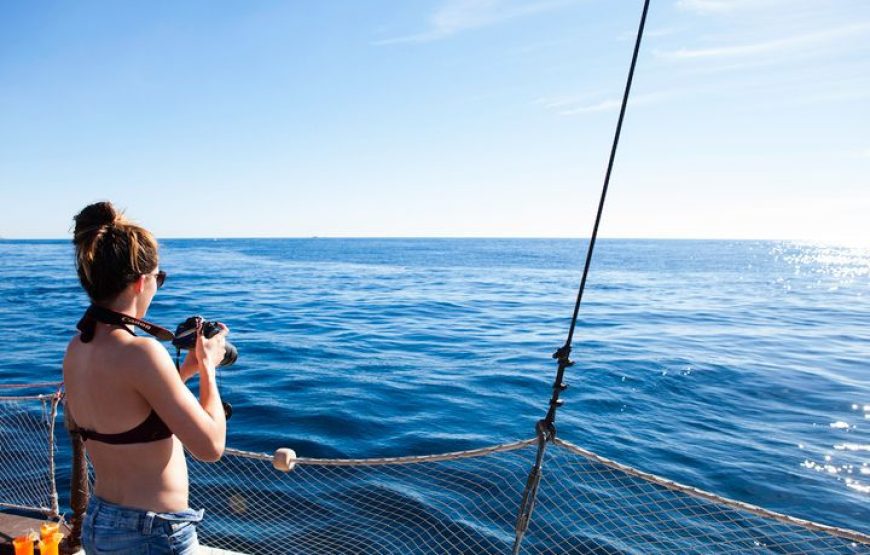 Cabo San Lucas Pirate Snorkel Tour