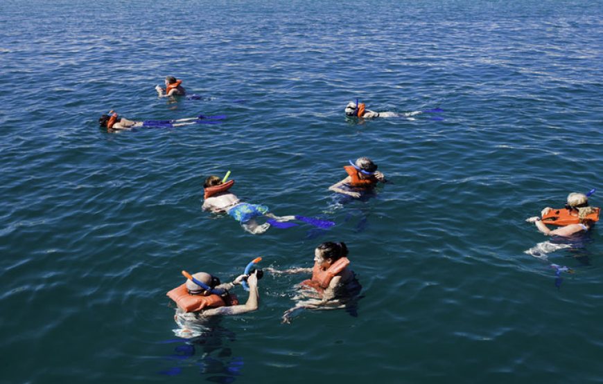 Cabo San Lucas Pirate Snorkel Tour