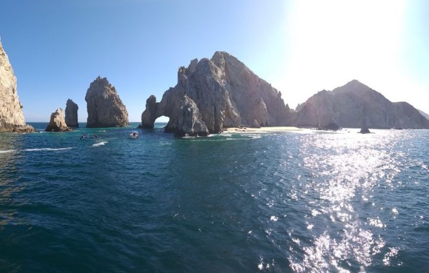 Cabo San Lucas Whale Watching Tour All Included