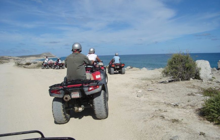 East Cape 3-Hour ATV Tour from San José del Cabo – Single Ride