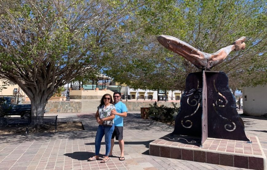 Half-Day Tour in Todos Santos from San José del Cabo